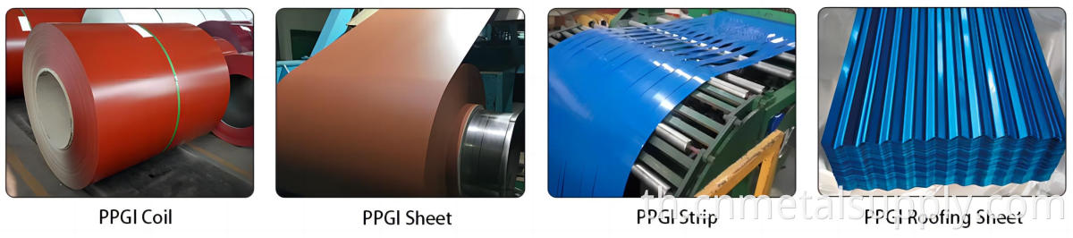 Color Coated Steel Coil